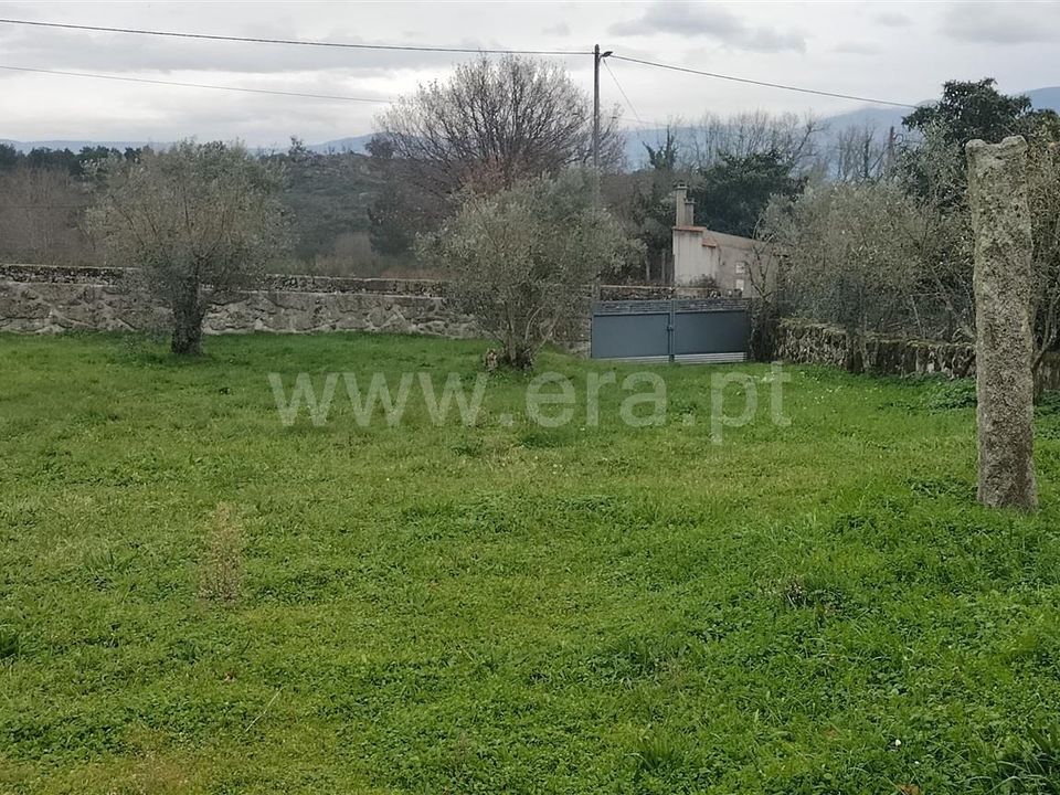 Helårsgrund i Mangualde, Viseu - foto 4