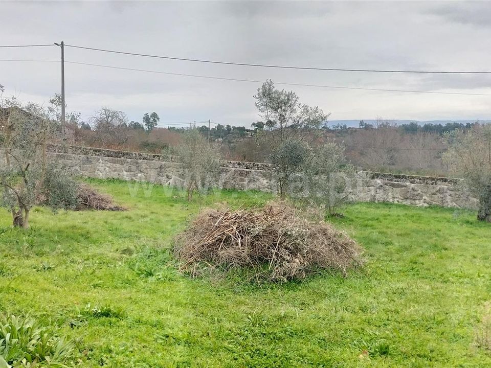Helårsgrund i Mangualde, Viseu - foto 5