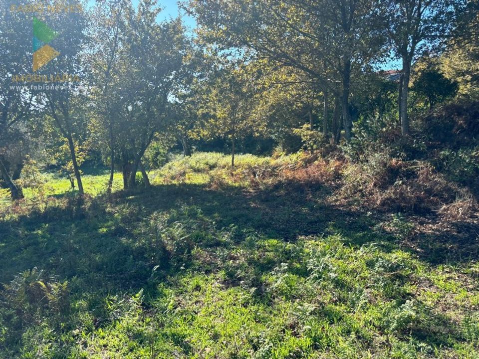 Helårsgrund i Vila Verde, Braga - foto 4