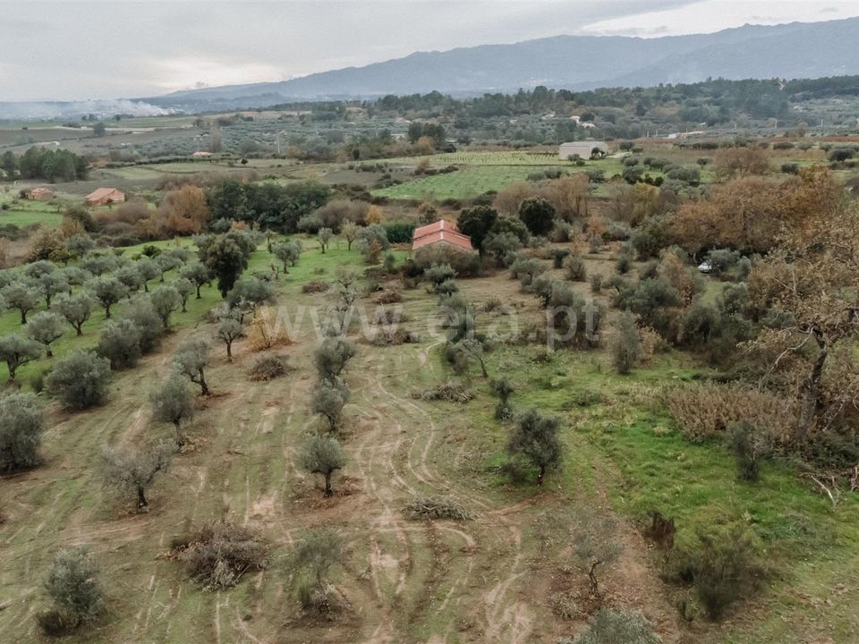 Granja a Fundao, Castelo Branco - foto 1