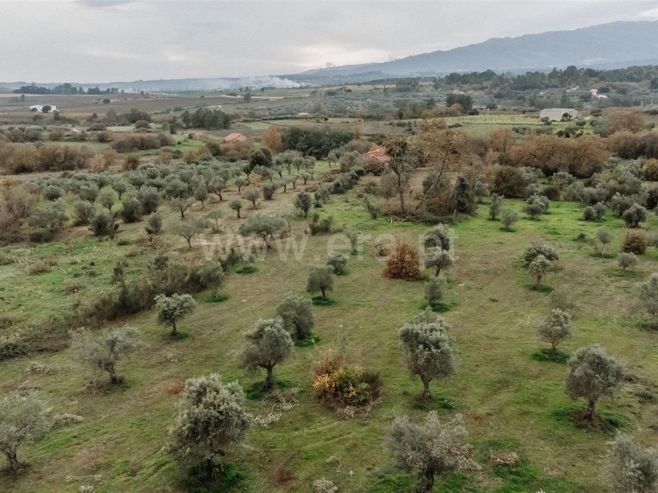 Granja a Fundao, Castelo Branco - foto 2