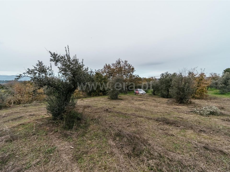 Granja a Fundao, Castelo Branco - foto 3