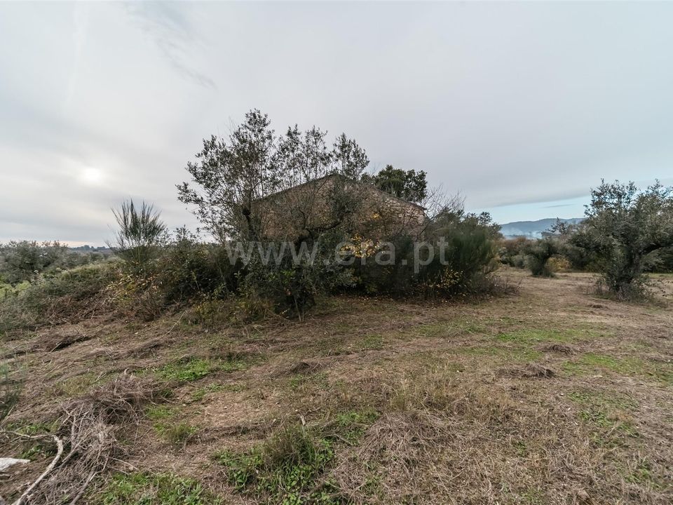 Granja a Fundao, Castelo Branco - foto 4