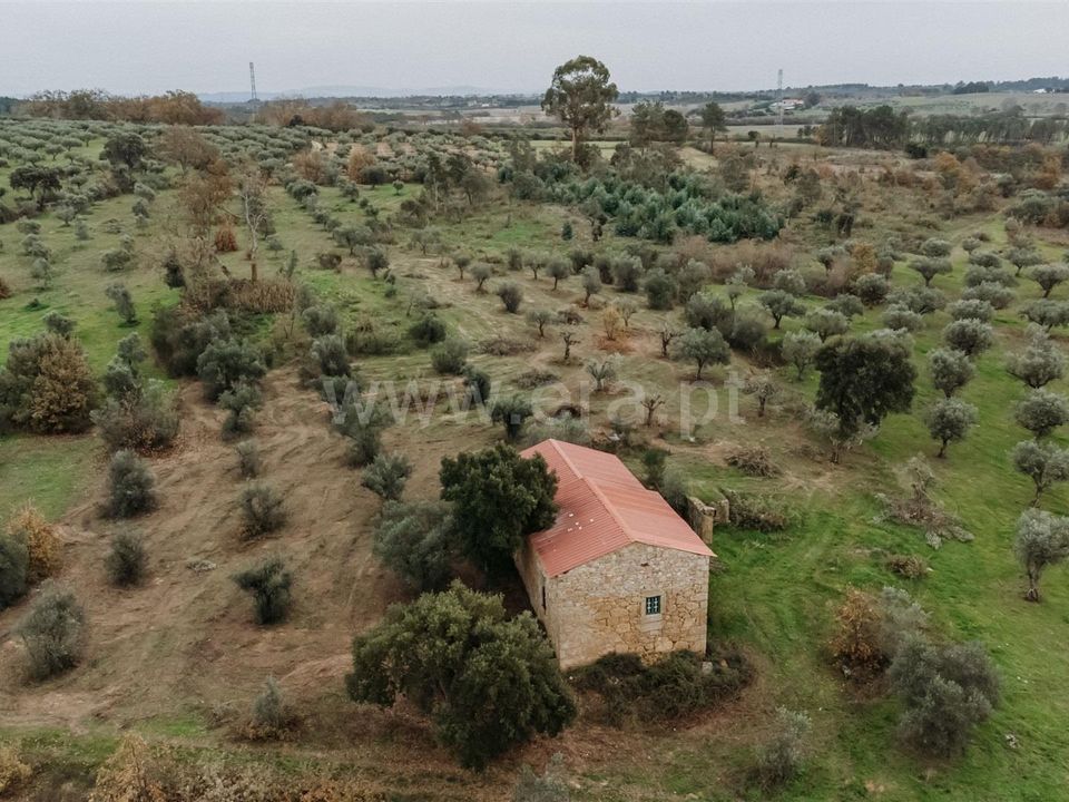 Granja a Fundao, Castelo Branco - foto 5
