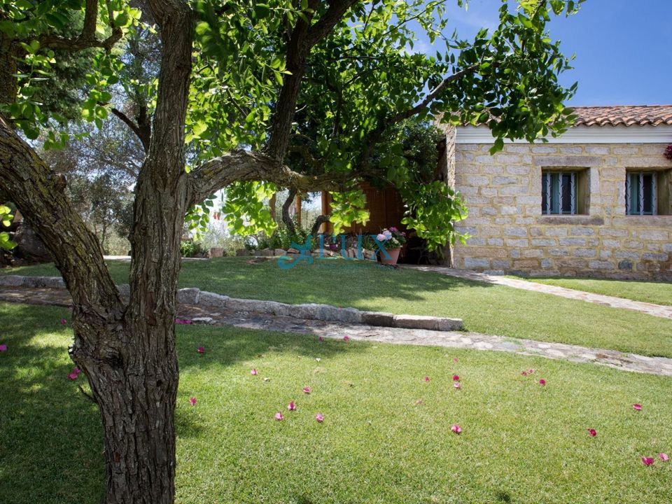 Villa i San Pantaleo, Olbia Tempio - foto 5