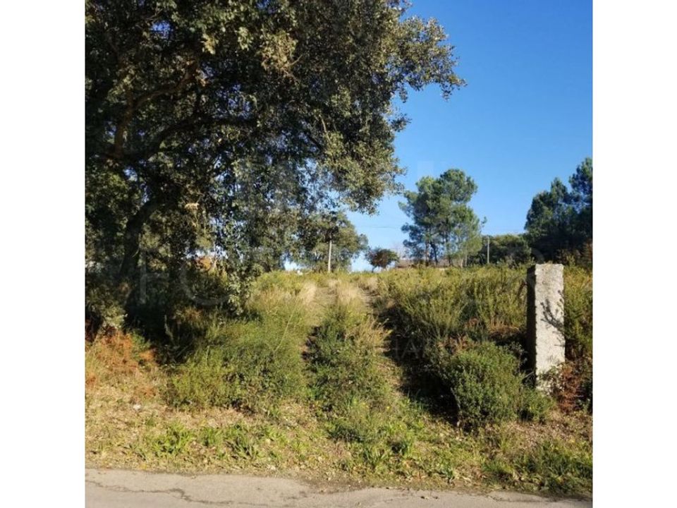 Helårsgrund i Valenca, Viana do Castelo - foto 2