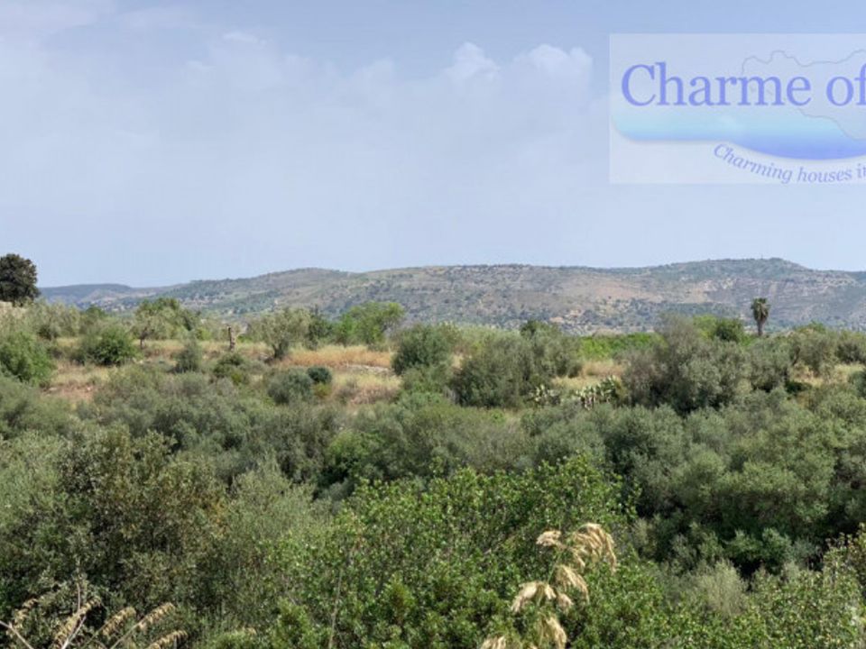 Tomt i Rosolini, Siracusa - bilde 1