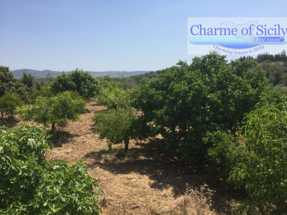 Tomt i Rosolini, Siracusa - bilde 4