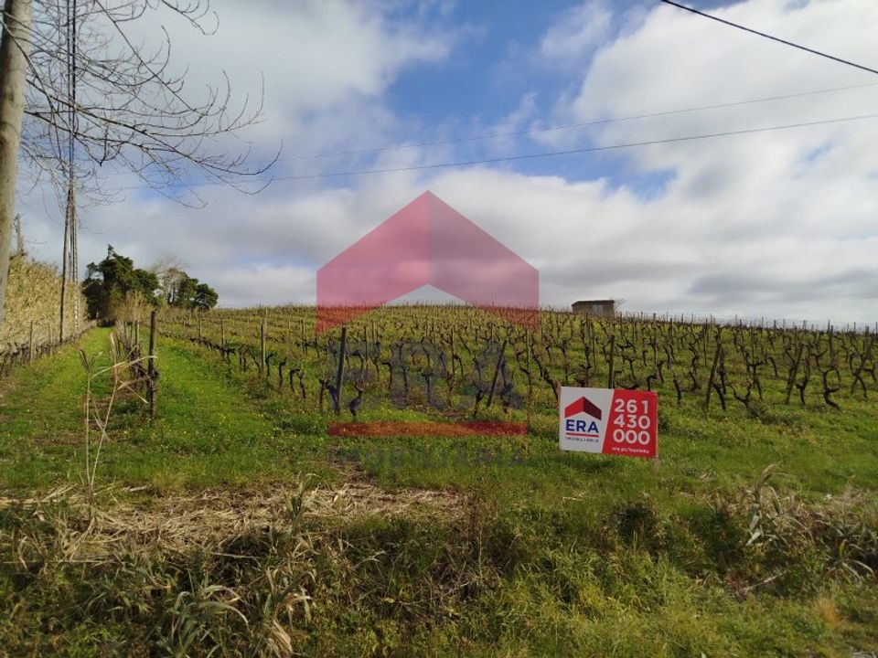 Terra a Carvalhal, Leiria - foto 1