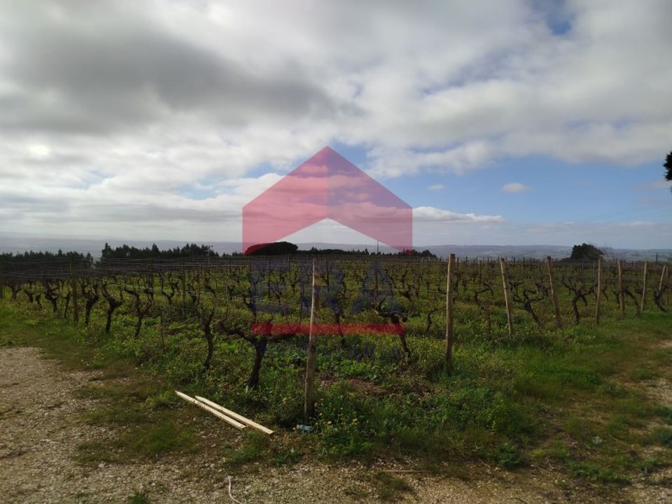 Terra a Carvalhal, Leiria - foto 5