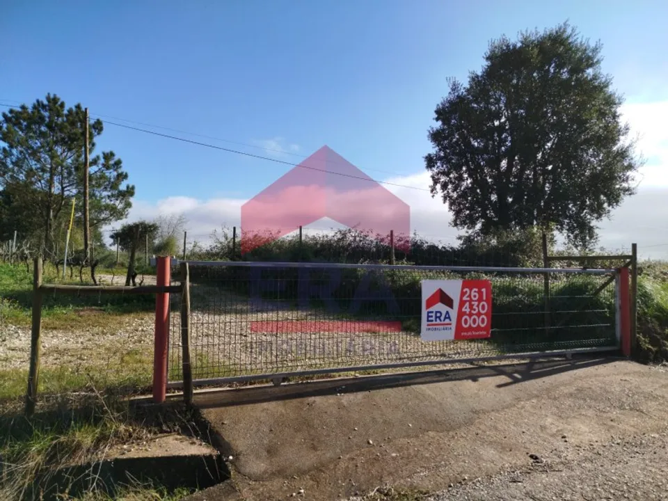 Terra a Carvalhal, Leiria - foto 1