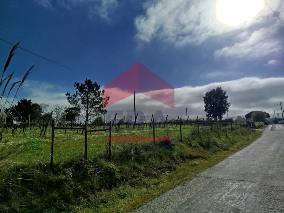 Terra a Carvalhal, Leiria - foto 3