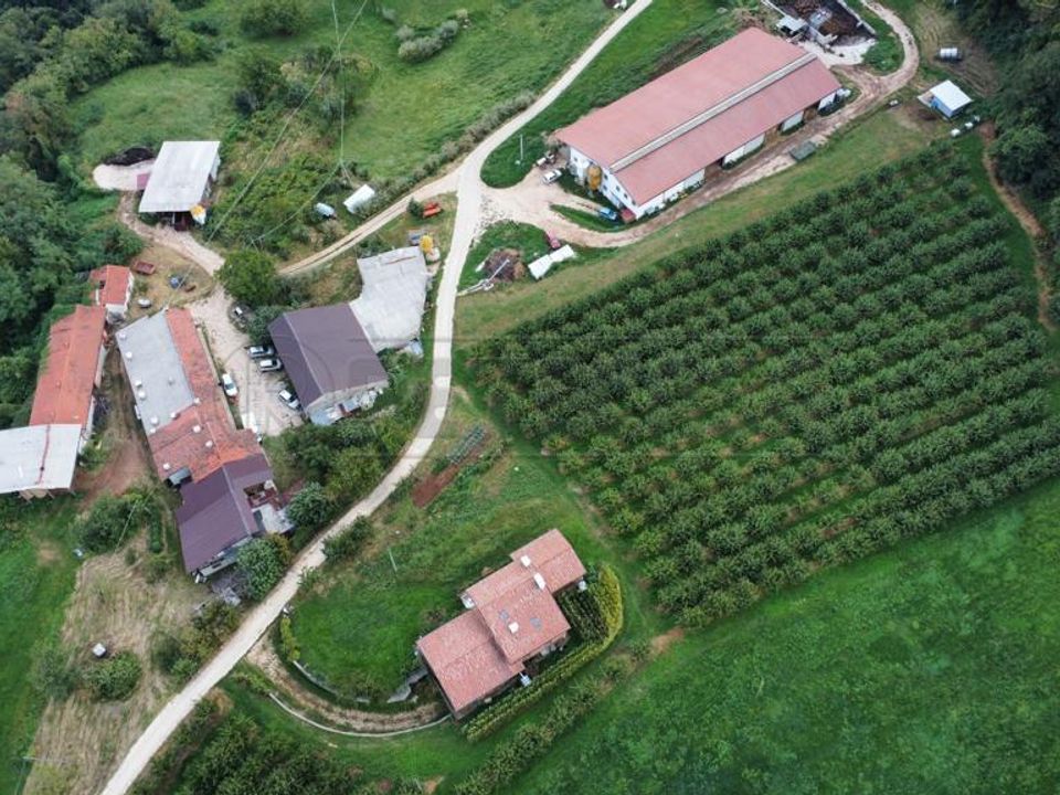 Villa i Chiampo, Vicenza - foto 5