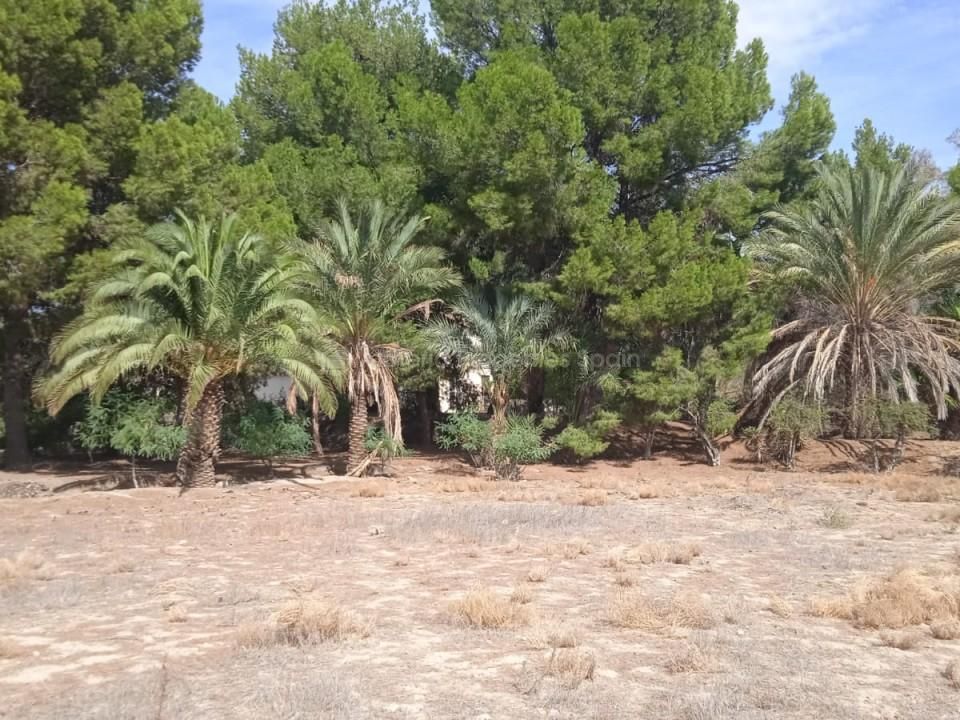 Farm hus i Partaloa, Almeria - foto 4