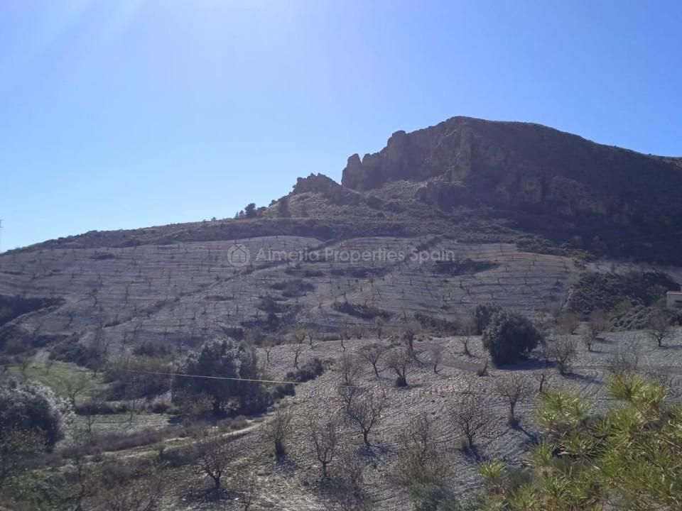 Farm hus i Albox, Almeria - foto 5