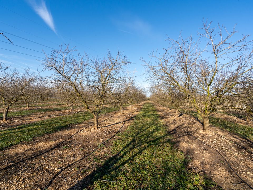 Finca i La Galera, Tarragona - bilde 1