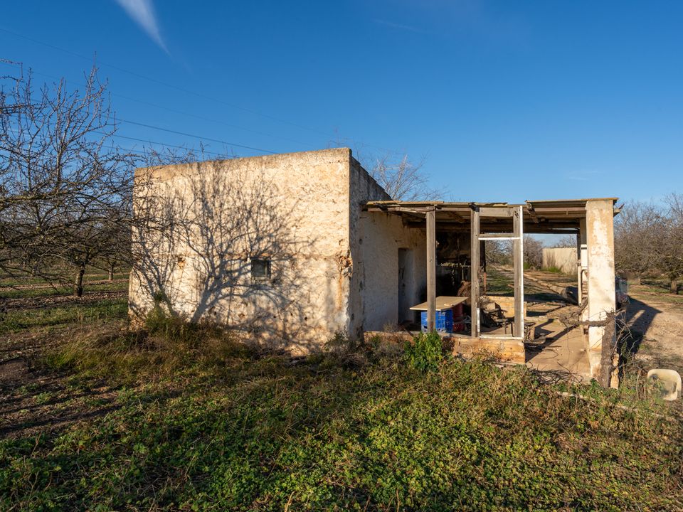 Finca i La Galera, Tarragona - bilde 4
