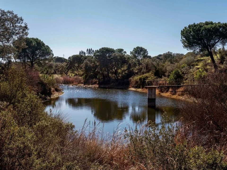 Masia a Alcacer do Sal, Setubal - foto 5