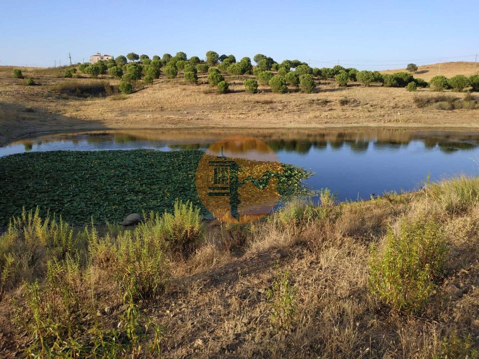 Helårsgrund i Castro Marim, Faro - foto 3