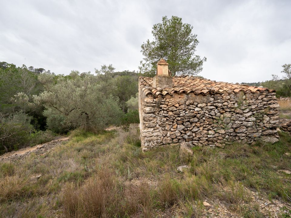 Finca i Tortosa, Tarragona - foto 2
