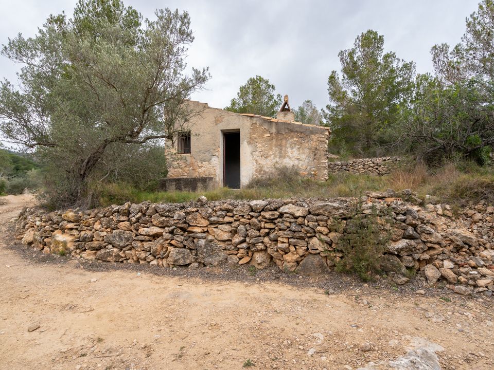 Finca i Tortosa, Tarragona - foto 4