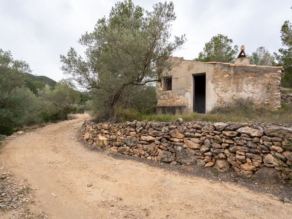 Finca i Tortosa, Tarragona - foto 5