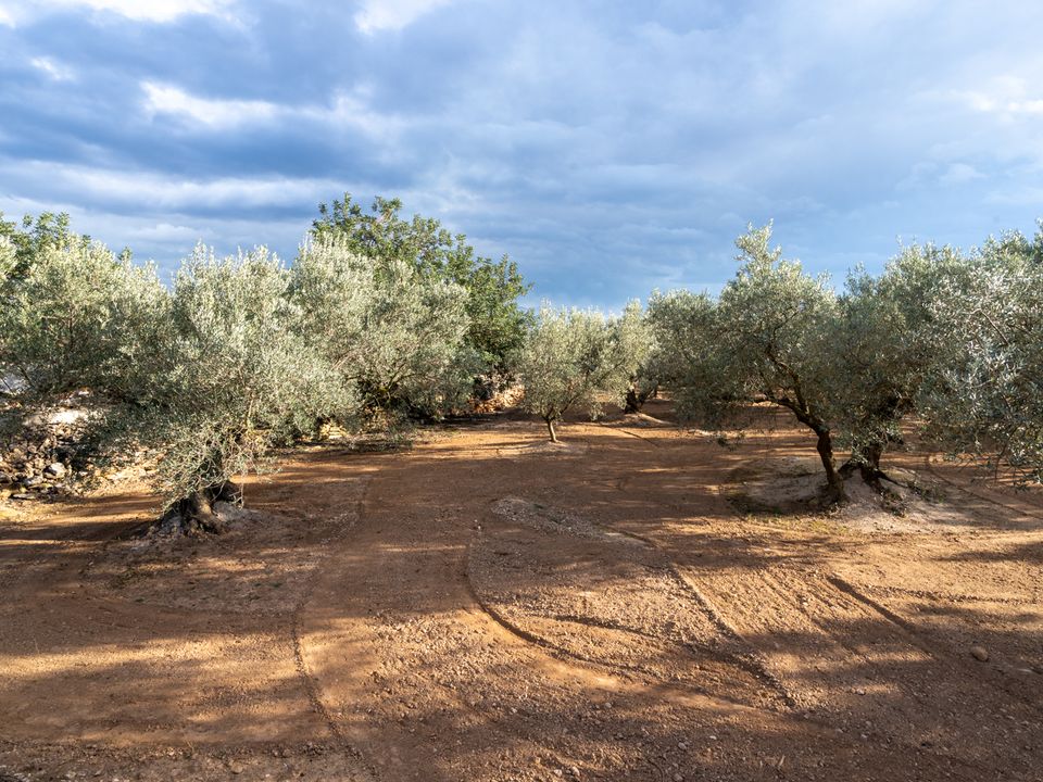 Helårsgrund i Aldover, Tarragona - foto 2