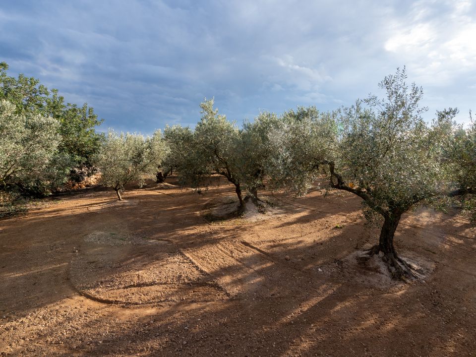 Helårsgrund i Aldover, Tarragona - foto 4