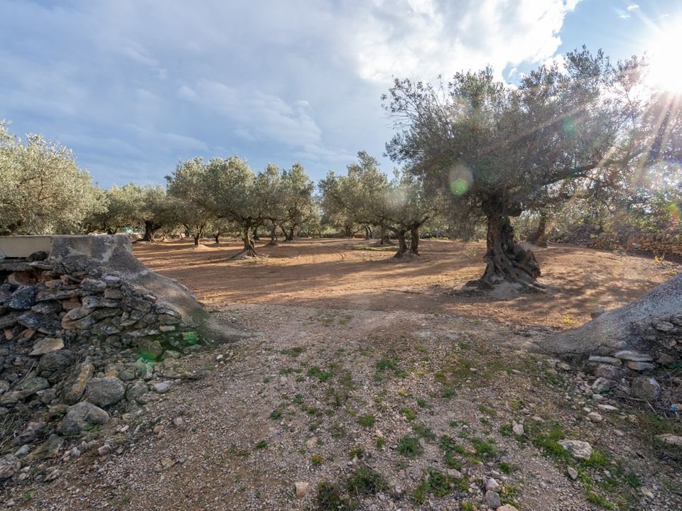 Helårsgrund i Aldover, Tarragona - foto 3