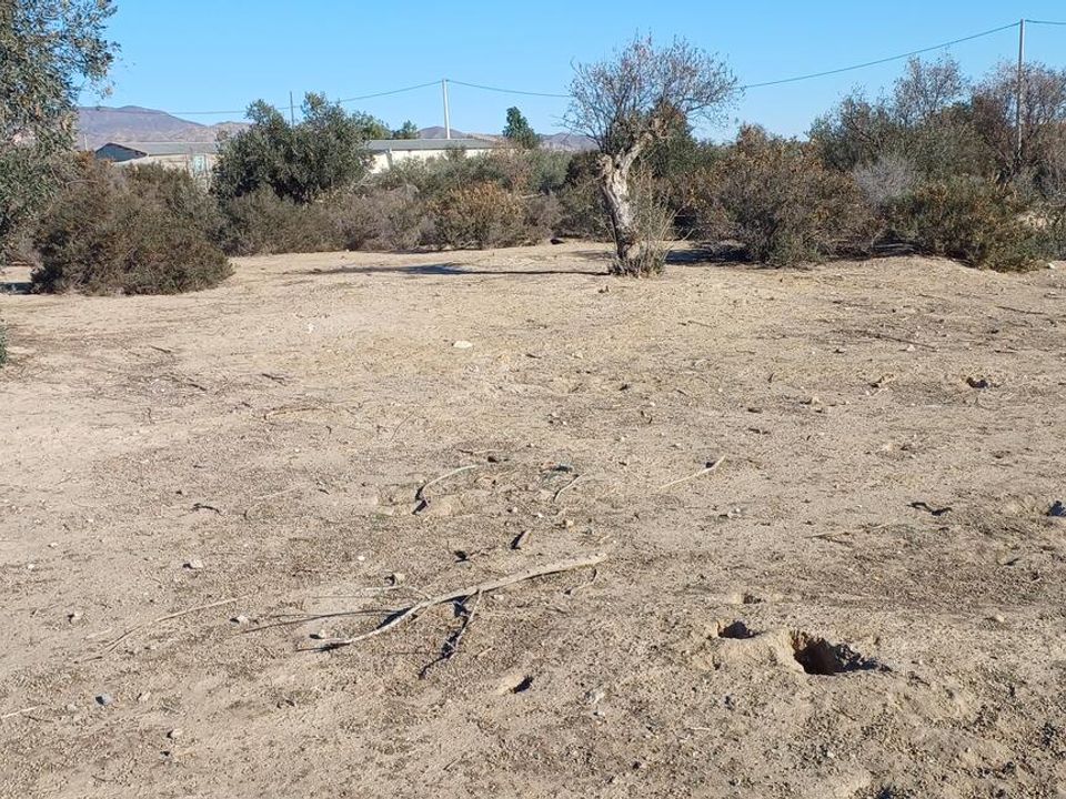 Helårsgrund i Los Pedregales, Almeria - foto 3