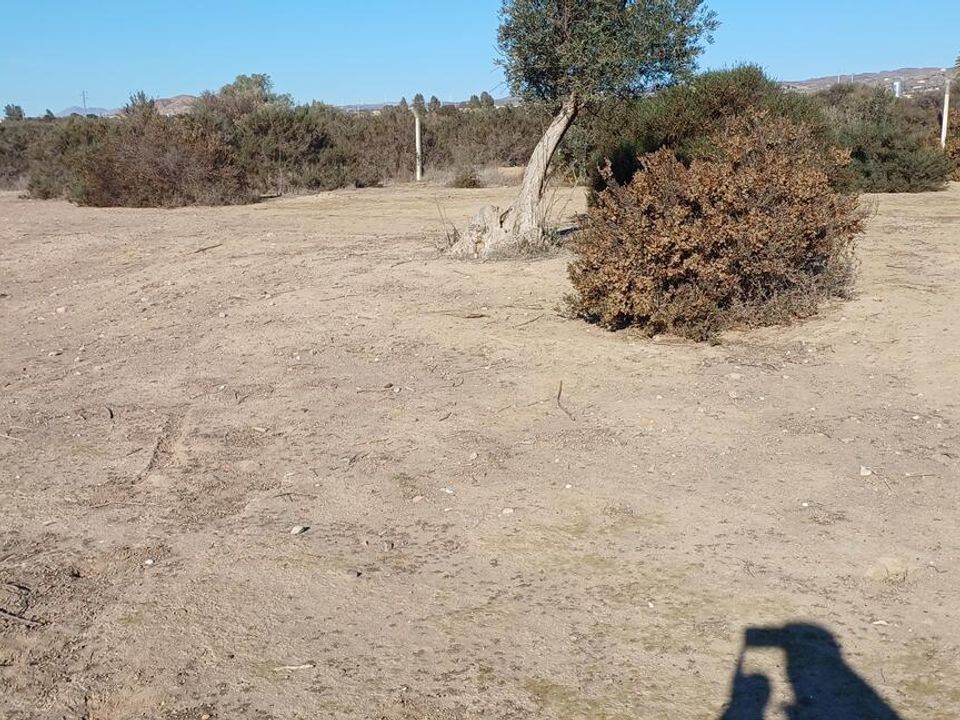Helårsgrund i Los Pedregales, Almeria - foto 4