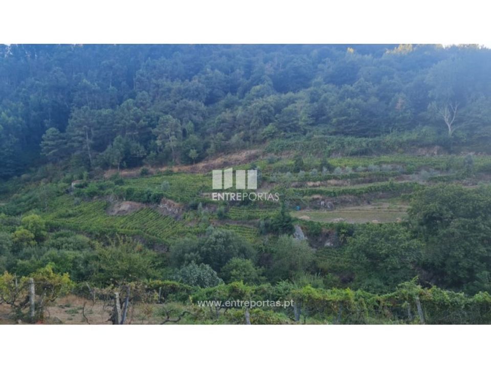 Terra a Ancede e Ribadouro, Porto - foto 2