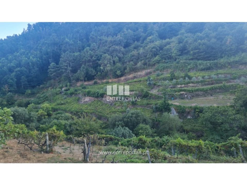 Terra a Ancede e Ribadouro, Porto - foto 3