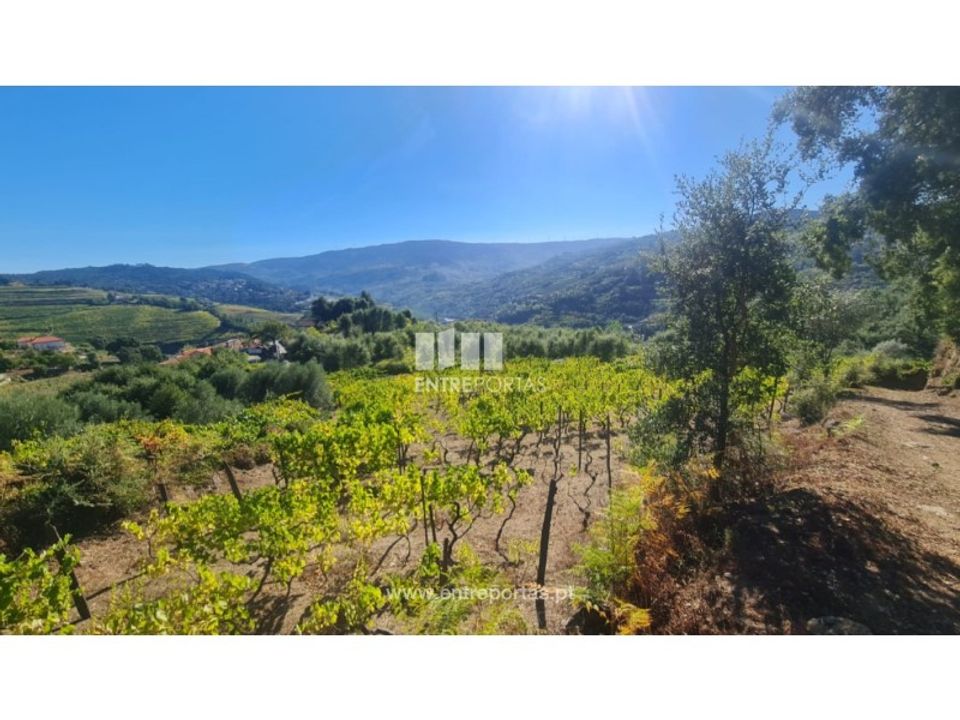 Helårsgrund i Ancede e Ribadouro, Porto - foto 1