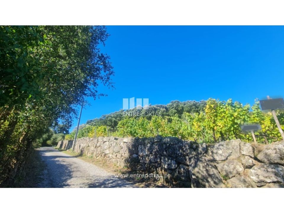 Helårsgrund i Ancede e Ribadouro, Porto - foto 2