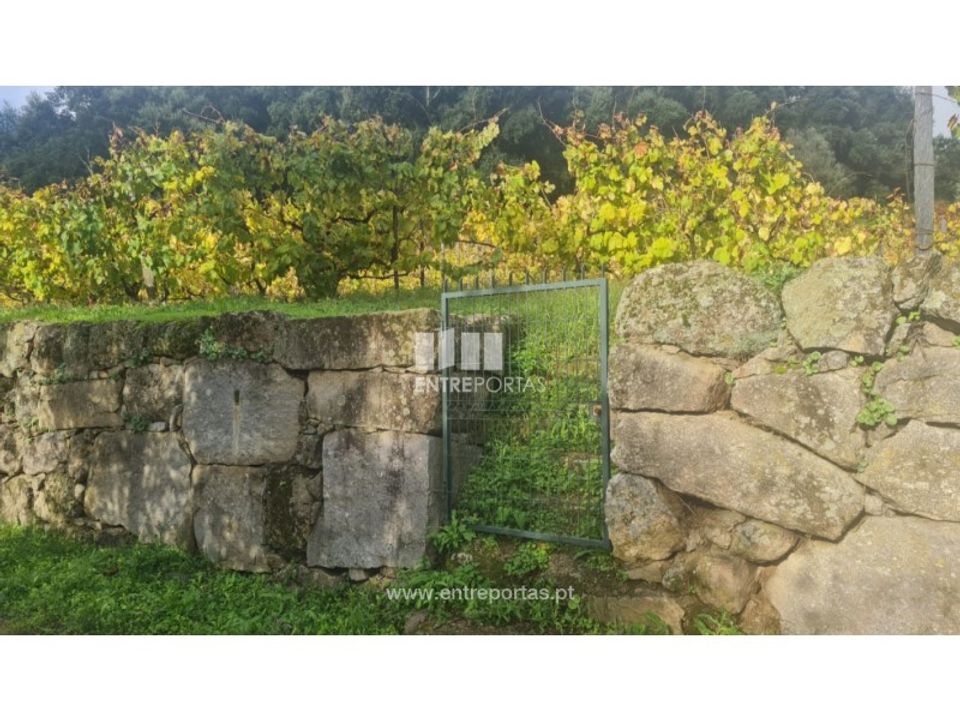 Helårsgrund i Ancede e Ribadouro, Porto - foto 3