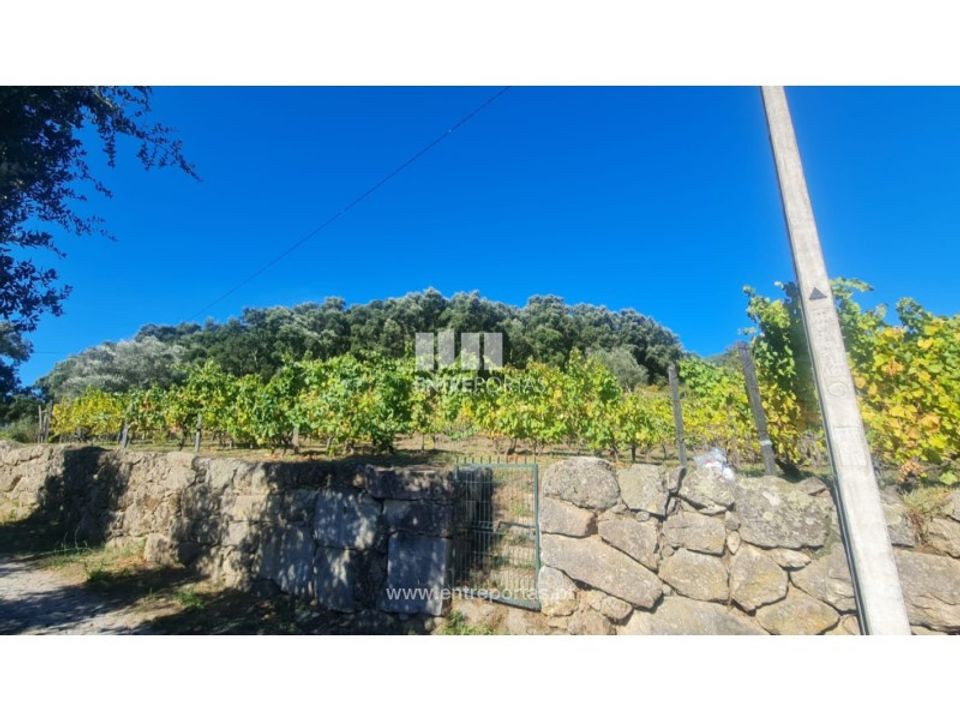 Helårsgrund i Ancede e Ribadouro, Porto - foto 5