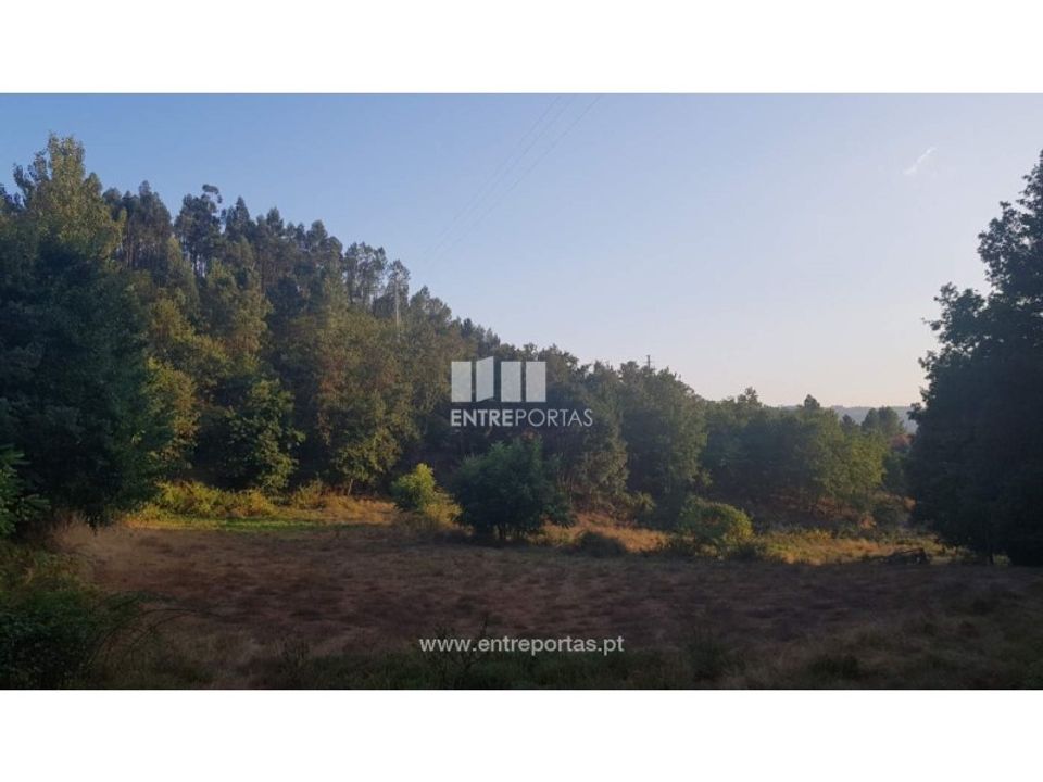 Helårsgrund i Amarante, Porto - foto 4