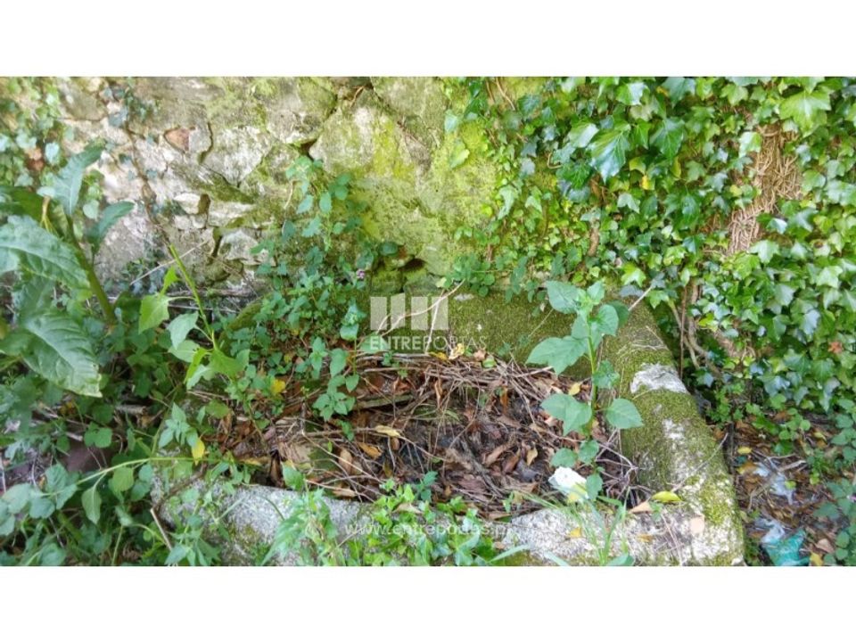 Landejendom i Caminha, Viana do Castelo - foto 2