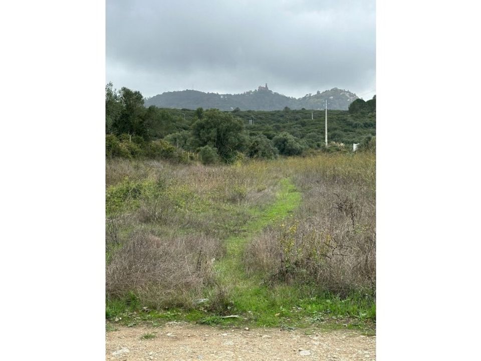 Helårsgrund i Sintra, Lisbon - foto 2