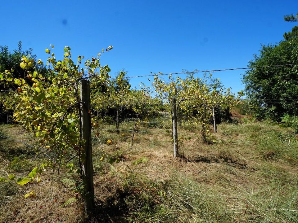 Helårsgrund i Moncao, Viana do Castelo - foto 4