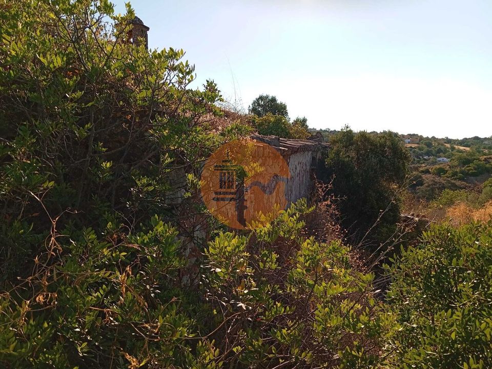 Tomt i Santo Estevao, Faro - bilde 4