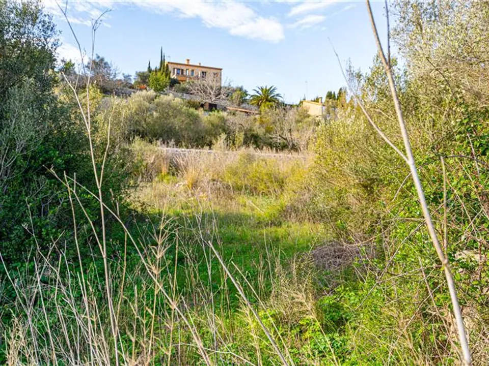 Helårsgrund i Galilea, Mallorca - foto 2
