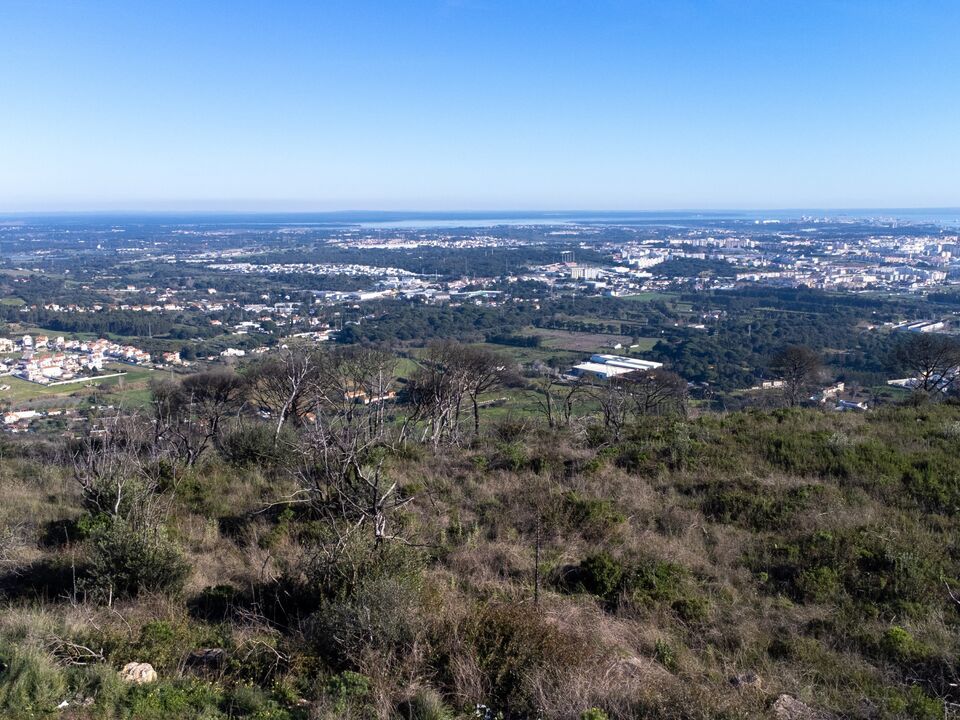 Helårsgrund i Palmela, Setubal - foto 5