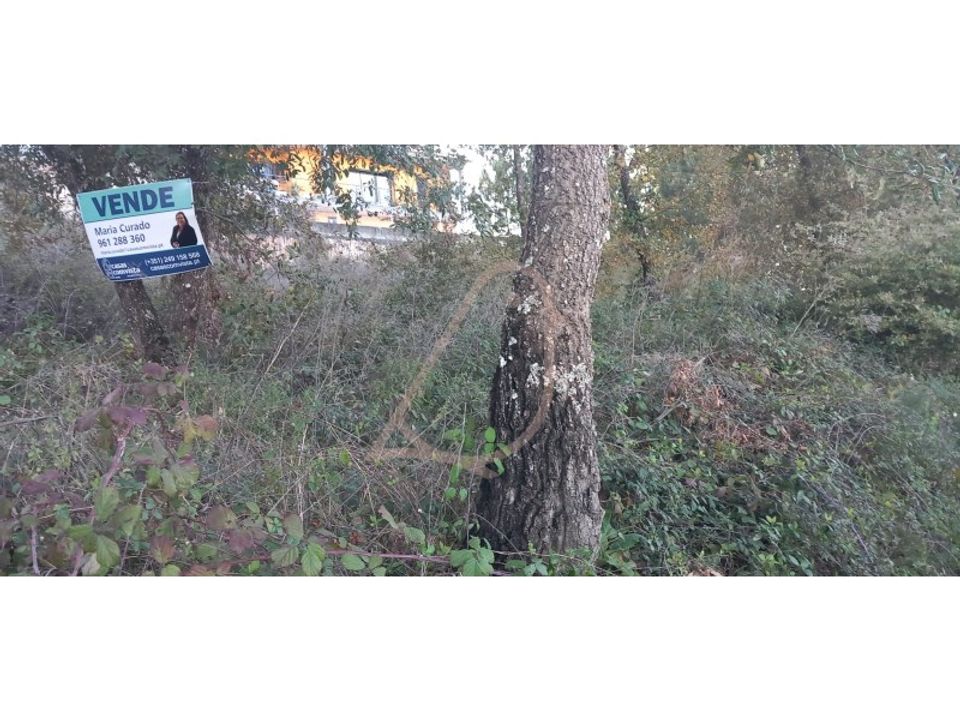 Helårsgrund i Alburitel, Santarem - foto 2