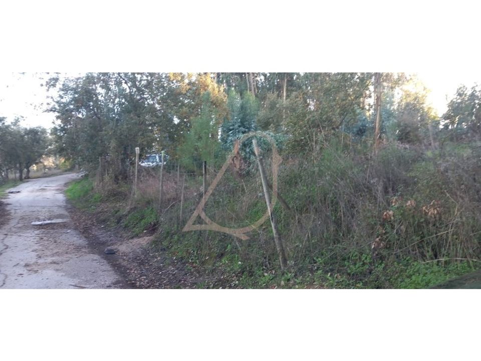 Helårsgrund i Alburitel, Santarem - foto 3
