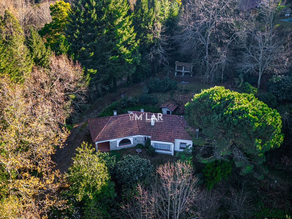 Farm hus i Vieira do Minho, Braga - foto 4