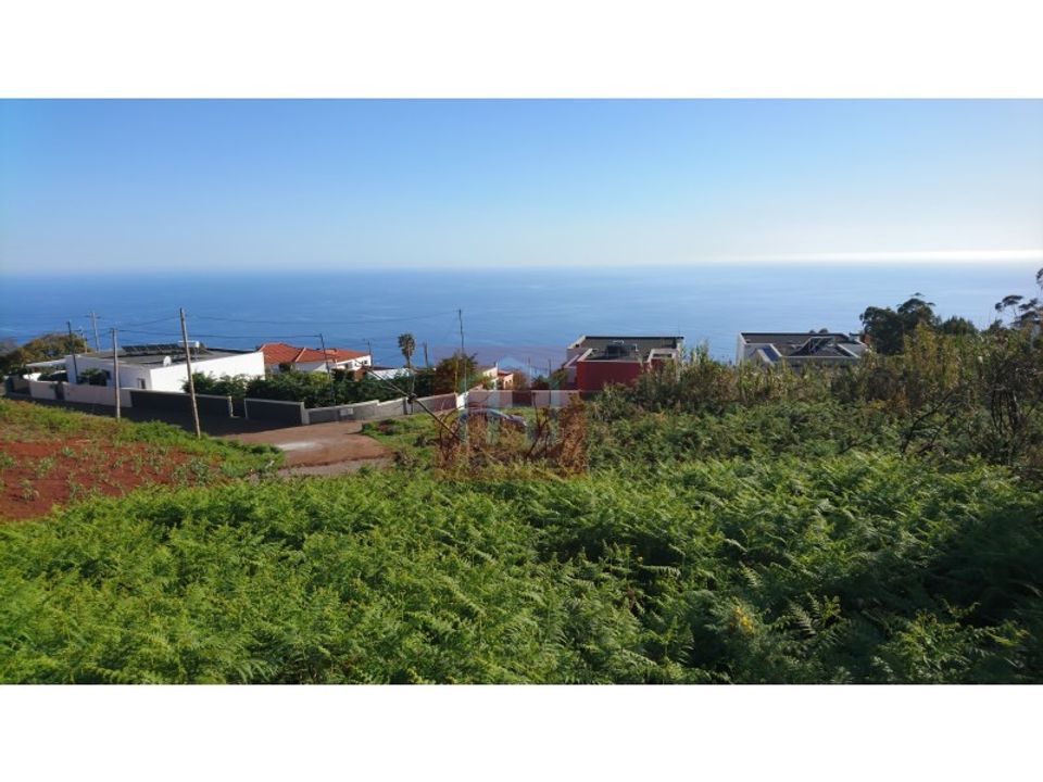 Helårsgrund i Calheta, Madeira - foto 1