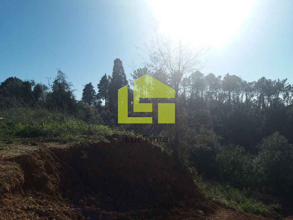 Helårsgrund i Coimbra, Coimbra - foto 4