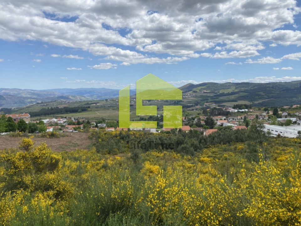 Działka: Sabrosa, Vila Real – zdjęcie 1
